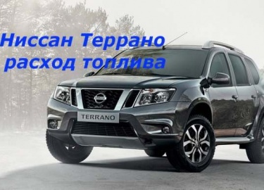 Сколько потребляет Nissan Terrano горючего на 100 км. Сильно ли отличается заявленный расход от реального. Отзывы владельцев.