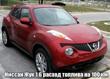 Оценка реального расхода топлива Ниссан Жук 1.6 на 100 км пути. Официальные и фактические данные.